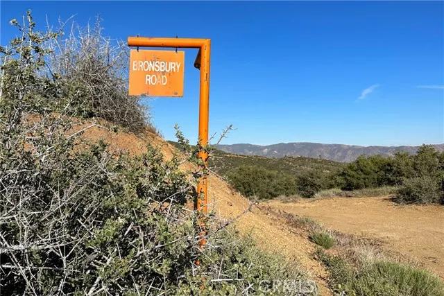 1 Bronsbury, Tehachapi Ca 93561 | Unimproved Land 11