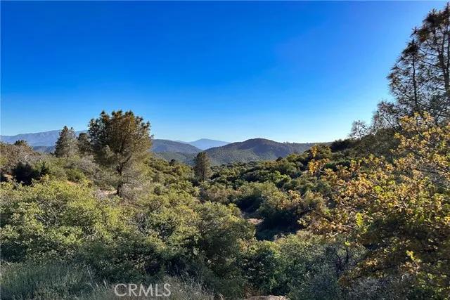 1 Bronsbury, Tehachapi Ca 93561 | Unimproved Land 1