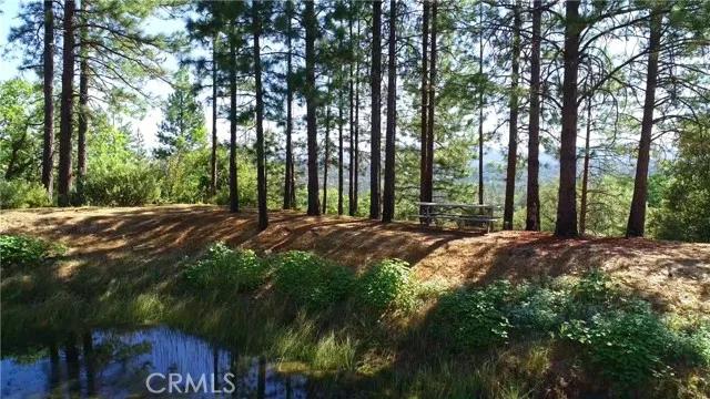 6612 Spencers Mill Lane, Midpines Ca 95345 | Detached 69