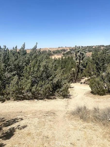 25 Barrel Springs, Palmdale Ca 93550 | Unimproved Land 10