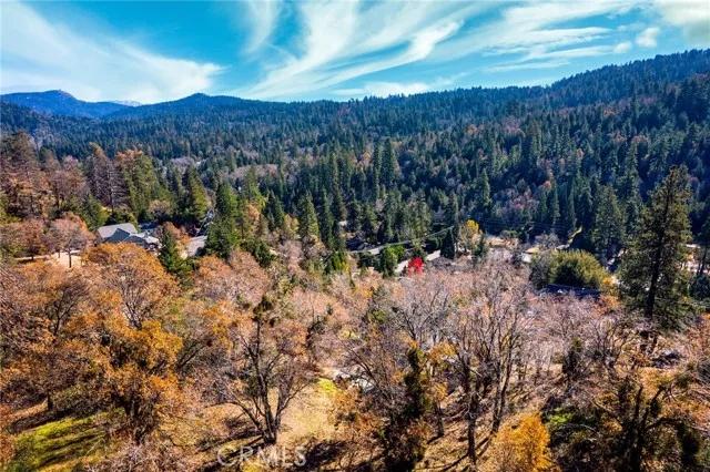 0 Briarwood, Crestline Ca 92325 | Unimproved Land 1