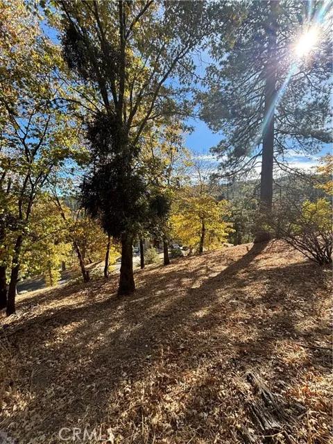 0 Briarwood, Crestline Ca 92325 | Unimproved Land 7