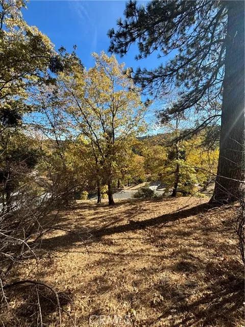 0 Briarwood, Crestline Ca 92325 | Unimproved Land 6