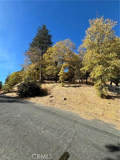 0 Briarwood, Crestline Ca 92325 | Unimproved Land 3