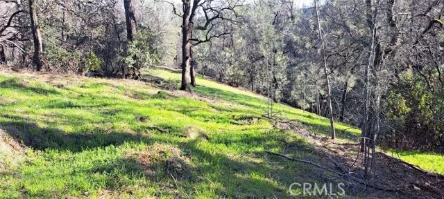 7356 Knoll, Corning Ca 96021 | Unimproved Land 2