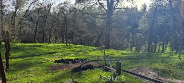 7356 Knoll, Corning Ca 96021 | Unimproved Land 1