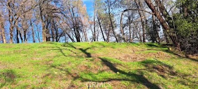 7356 Knoll, Corning Ca 96021 | Unimproved Land 4