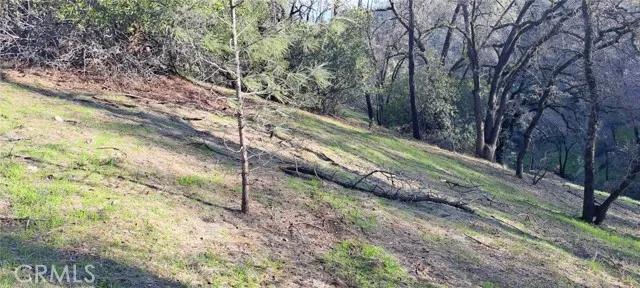 7356 Knoll, Corning Ca 96021 | Unimproved Land 3