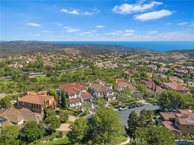 9 Coastal Canyon Drive, Newport Coast Ca 92657 | Detached 58