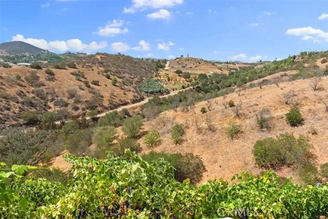 534 Stewart Canyon Road, Fallbrook Ca 92028 | Detached 34