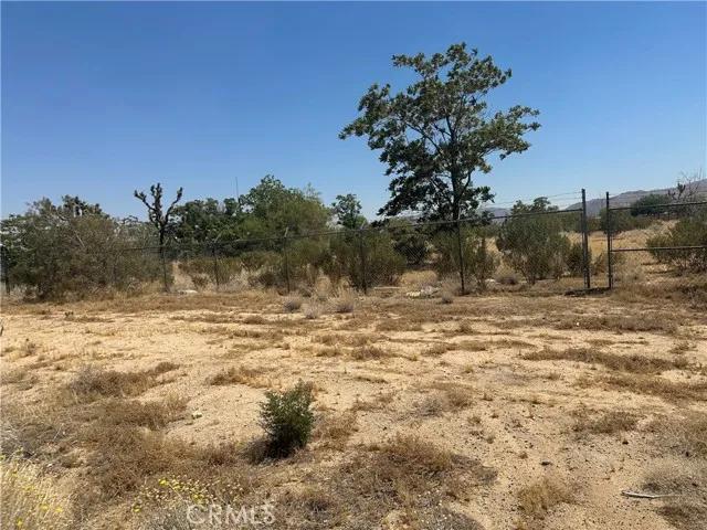 56569 29 Palms, Yucca Valley Ca 92284 | Unimproved Land 2