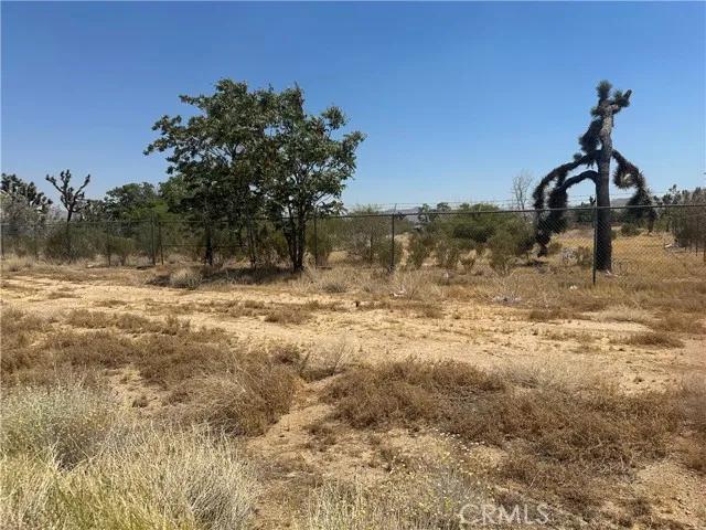 56569 29 Palms, Yucca Valley Ca 92284 | Unimproved Land 1