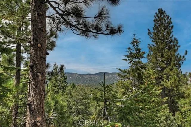 1377 La Crescenta Drive, Big Bear City Ca 92314 | Detached 44