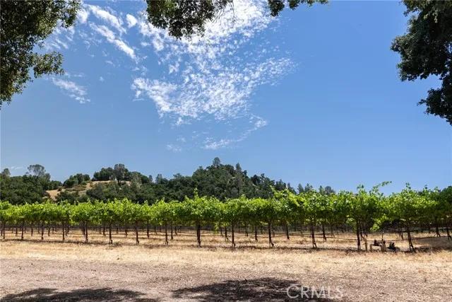 0 Cypress Mountain, Paso Robles CA 93446 | Unimproved Land 5