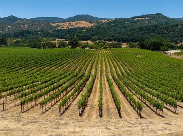 0 Cypress Mountain, Paso Robles CA 93446 | Unimproved Land 2