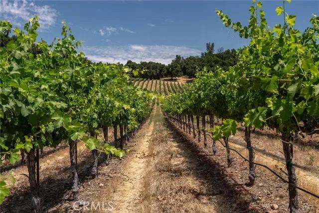 0 Cypress Mountain, Paso Robles CA 93446 | Unimproved Land 8