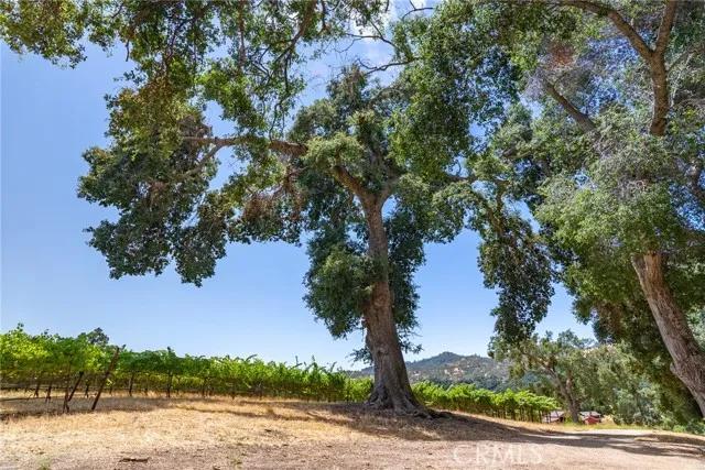 0 Cypress Mountain, Paso Robles CA 93446 | Unimproved Land 4