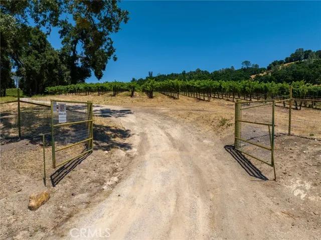 0 Cypress Mountain, Paso Robles CA 93446 | Unimproved Land 30