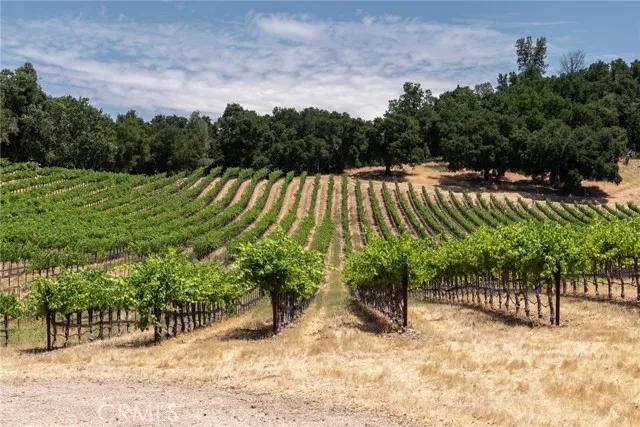 0 Cypress Mountain, Paso Robles CA 93446 | Unimproved Land 6