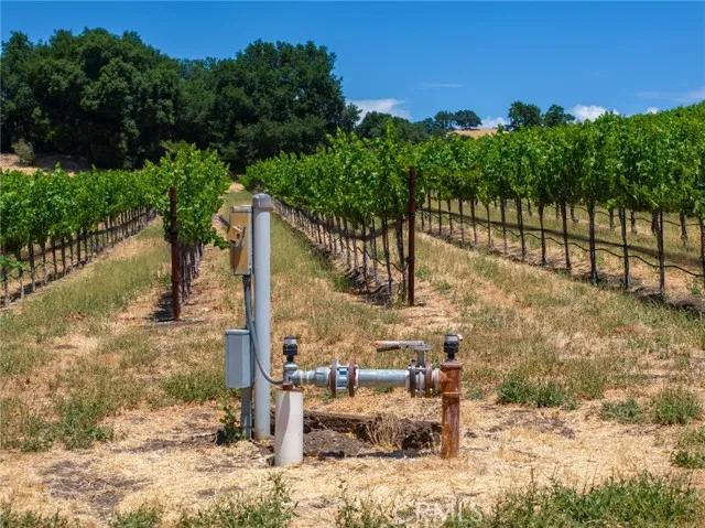 0 Cypress Mountain, Paso Robles CA 93446 | Unimproved Land 25