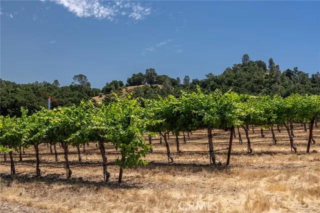 0 Cypress Mountain, Paso Robles CA 93446 | Unimproved Land 9