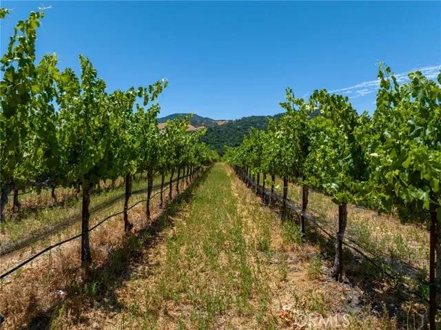 0 Cypress Mountain, Paso Robles CA 93446 | Unimproved Land 15