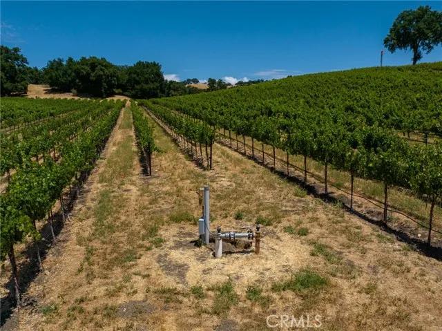 0 Cypress Mountain, Paso Robles CA 93446 | Unimproved Land 26