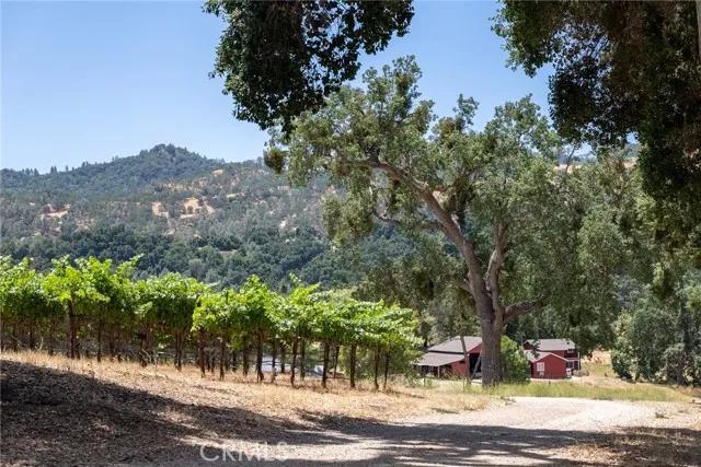 0 Cypress Mountain, Paso Robles CA 93446 | Unimproved Land 0