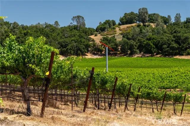 0 Cypress Mountain, Paso Robles CA 93446 | Unimproved Land 34