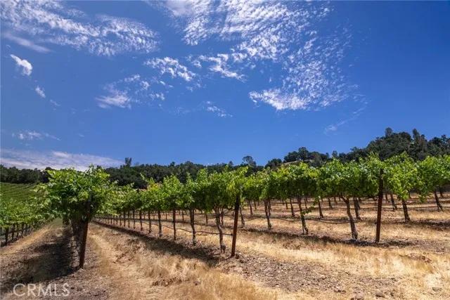 0 Cypress Mountain, Paso Robles CA 93446 | Unimproved Land 7