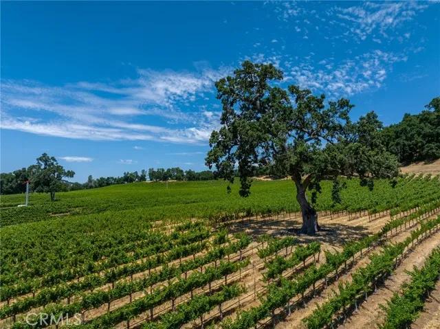 0 Cypress Mountain, Paso Robles CA 93446 | Unimproved Land 11