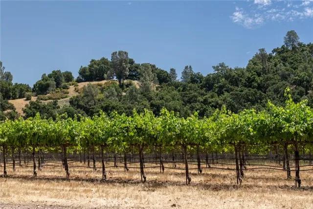 0 Cypress Mountain, Paso Robles CA 93446 | Unimproved Land 36