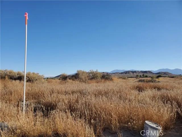 2 Near 150th, Palmdale Ca 93591 | Unimproved Land 0