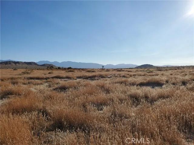 2 Near 150th, Palmdale Ca 93591 | Unimproved Land 3