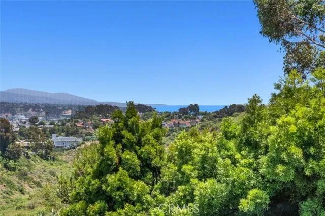 33296 Ocean Ridge, Dana Point Ca 92629 | Townhouse 0