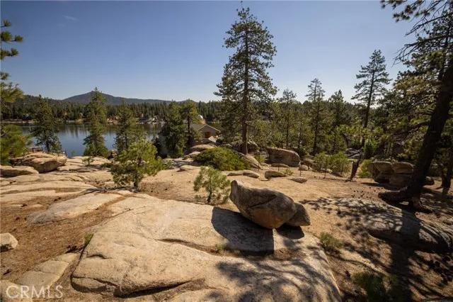 815 Cove, Big Bear Lake Ca 92315 | Unimproved Land 35