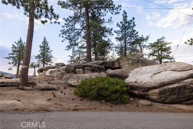 815 Cove, Big Bear Lake Ca 92315 | Unimproved Land 16