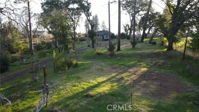 5492 Foster, Paradise Ca 95969 | Unimproved Land 21