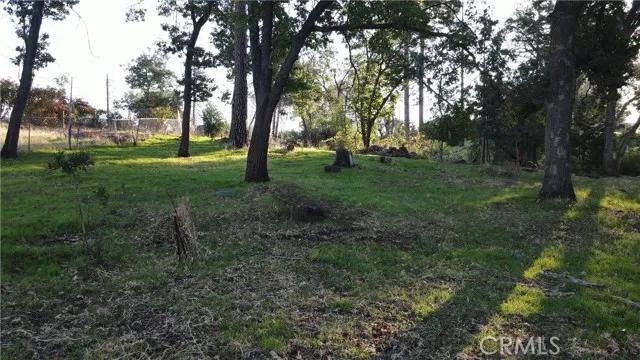 5492 Foster, Paradise Ca 95969 | Unimproved Land 10