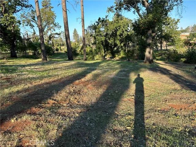 5492 Foster, Paradise Ca 95969 | Unimproved Land 4