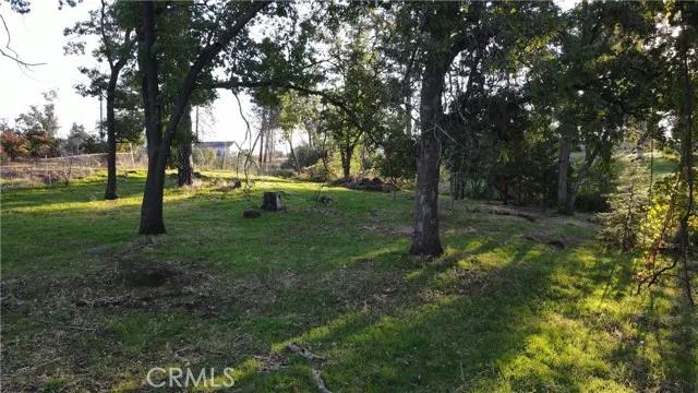 5492 Foster, Paradise Ca 95969 | Unimproved Land 11