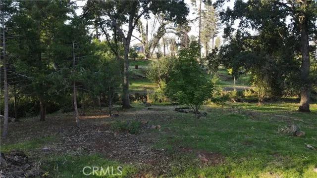 5492 Foster, Paradise Ca 95969 | Unimproved Land 6