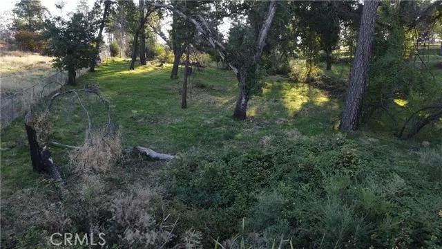 5492 Foster, Paradise Ca 95969 | Unimproved Land 12