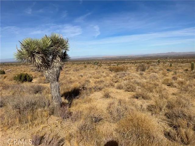 0 X8 Vac Corner Ave#drt, Llano Ca 93544 | Unimproved Land 18