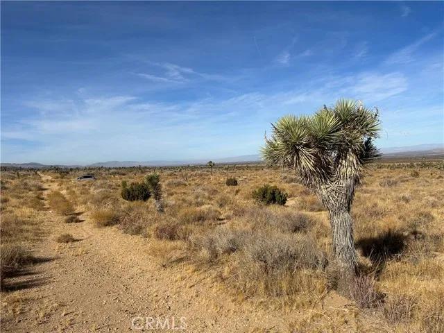 0 X8 Vac Corner Ave#drt, Llano Ca 93544 | Unimproved Land 19