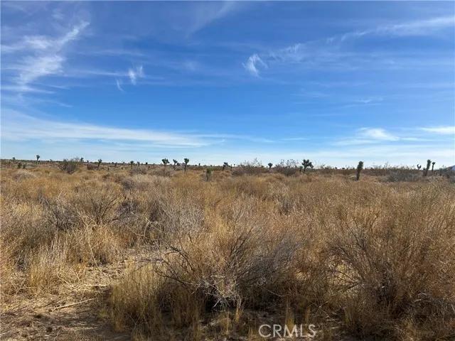 0 X8 Vac Corner Ave#drt, Llano Ca 93544 | Unimproved Land 13