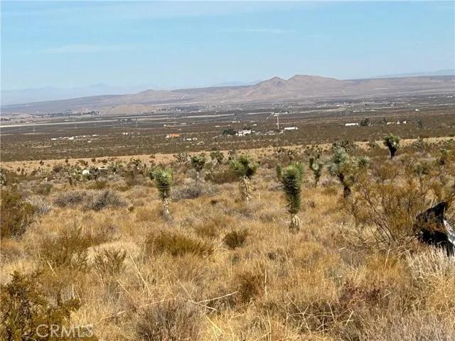 0 X8 Vac Corner Ave#drt, Llano Ca 93544 | Unimproved Land 25