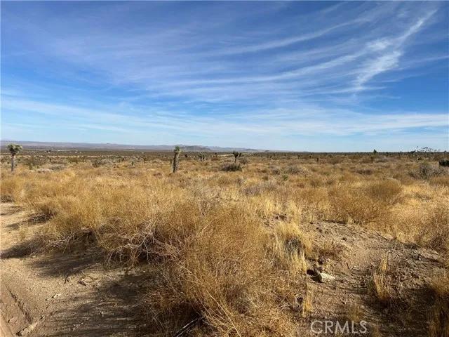 0 X8 Vac Corner Ave#drt, Llano Ca 93544 | Unimproved Land 14