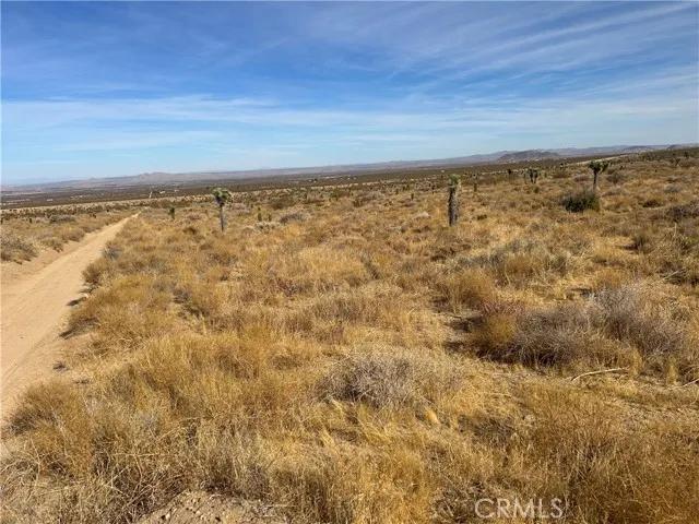 0 X8 Vac Corner Ave#drt, Llano Ca 93544 | Unimproved Land 11