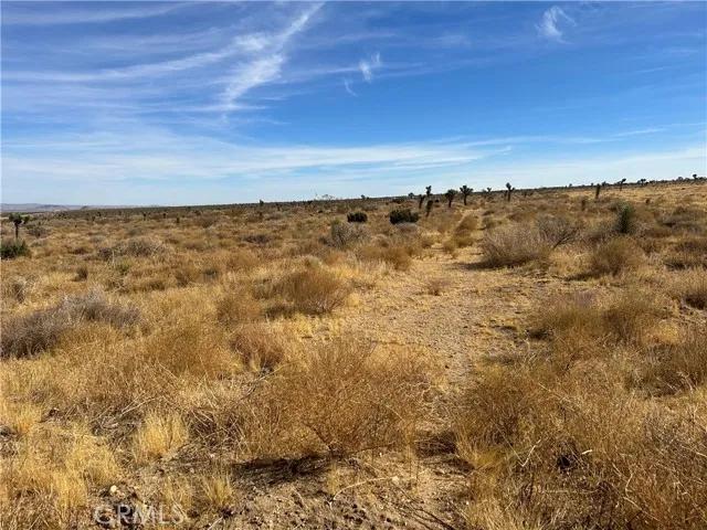 0 X8 Vac Corner Ave#drt, Llano Ca 93544 | Unimproved Land 10